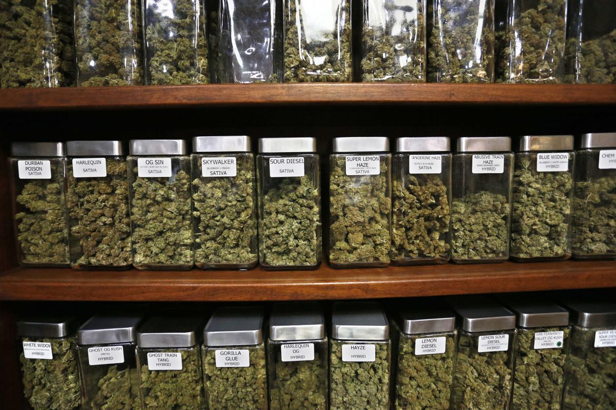 CANNABIS CAREERS: WHAT TO EXPECT WHEN YOU DECIDE TO MAKE A CHANGE